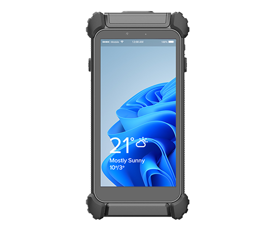 DT362WF